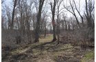 Property photo 149 - REAL ESTATE & PERSONAL PROPERTY AUCTION, 140 Acres offered in 8 Tracts or Combinations in Steuben County